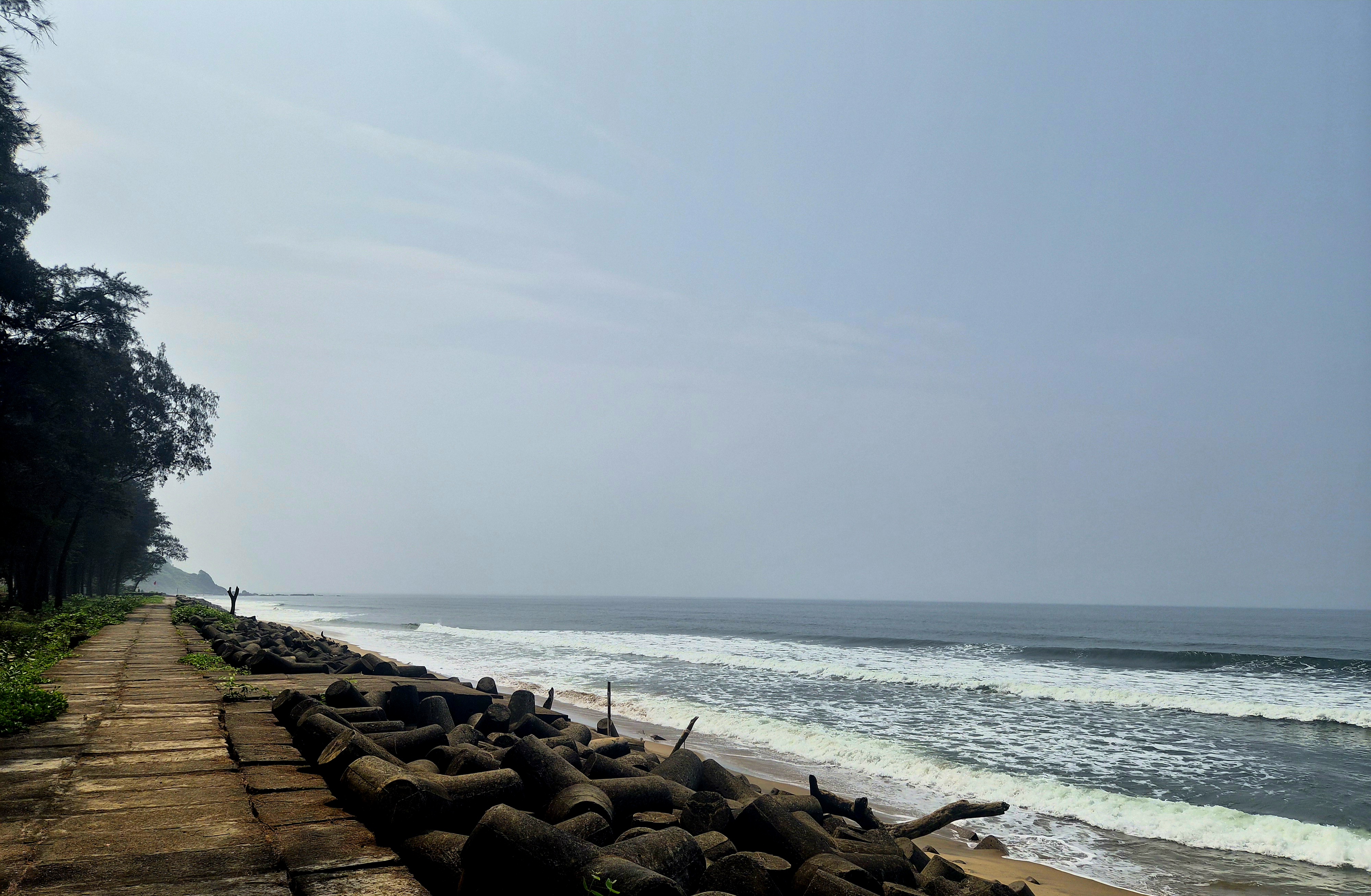 Tree-lined stone-paved walkway beside the ocean